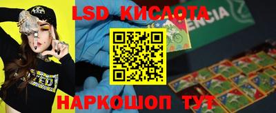 мдпв Камышлов