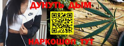 мдпв Камышлов