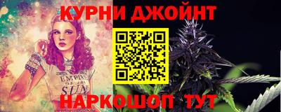 мдпв Камышлов