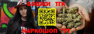 мдпв Камышлов