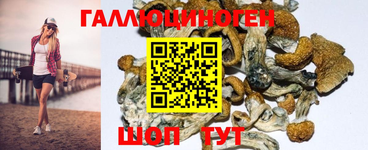 Курчалой  Галлюциногенные грибы Magic Shrooms  Вход с VPN 